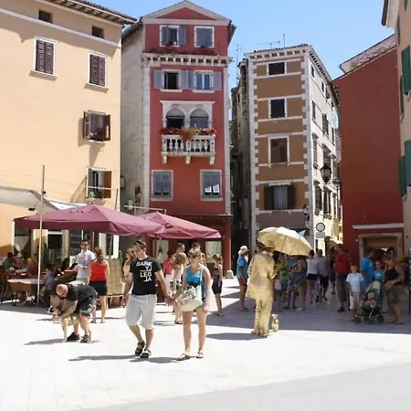In With Terrace, Air Condition, Wifi, Washing Machine 3652-4 Rovinj